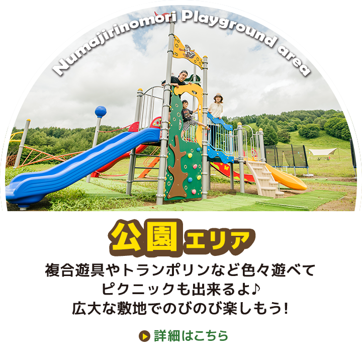 公園エリア：複合遊具やピクニックで楽しもう：福島県猪苗代町ぬまじりの森