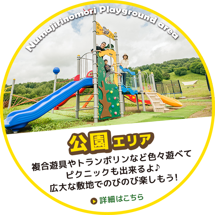 公園エリア：複合遊具やピクニックで楽しもう：福島県猪苗代町ぬまじりの森