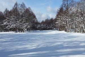 ごきげんパーク:ふかふかゲレンデ